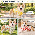 Fruit Print Dog Vest – Stretchy, Lightweight Fleece