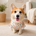 Sweet Ruffle Dog Cake Dress – Lightweight, Breathable & Stretchy