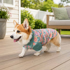 Lightweight Cotton Dog Shirt – Floral Pet Shirt with Classic Collar