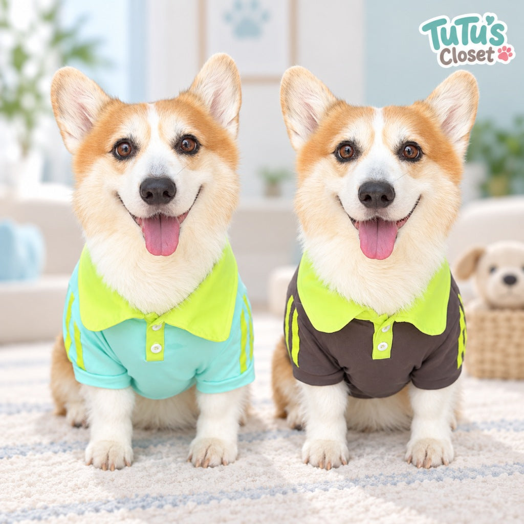 Sporty Contrast Collar Dog Polo Shirt – Soft Cotton Pet Tee