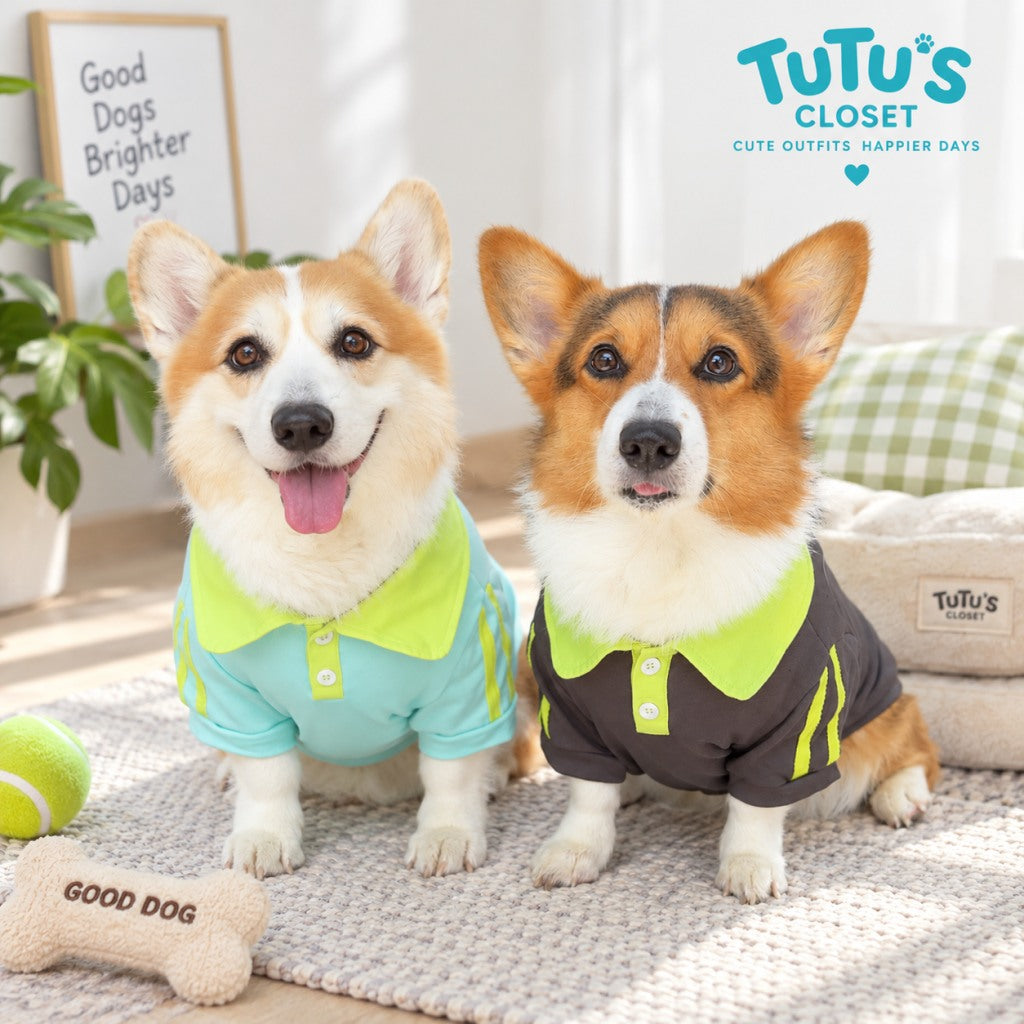 Sporty Contrast Collar Dog Polo Shirt – Soft Cotton Pet Tee