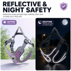 Reflective Escape-Proof Dog Harness & Matching Leash Set