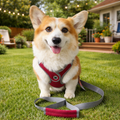 Reflective Escape-Proof Dog Harness & Matching Leash Set