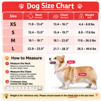 Dog Harness with Bandana Bib – No Pull Adjustable Vest for Small & Medium Dogs (Harness Only)