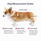Breathable Summer Dog Shirt   Lightweight Mesh Pet Vest for Small to Large Dogs